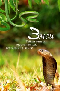  Змеи. Тайны самых смертоносных созданий на земле 