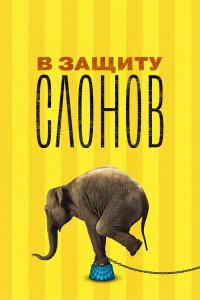  В защиту слонов 
